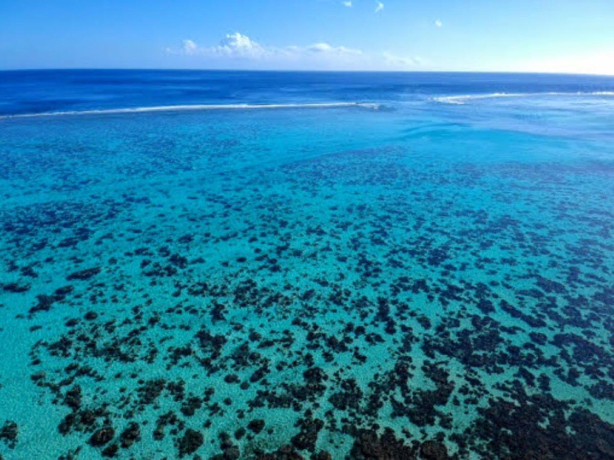 MOOREA - Fare Taina Nui Haapiti Exterior foto